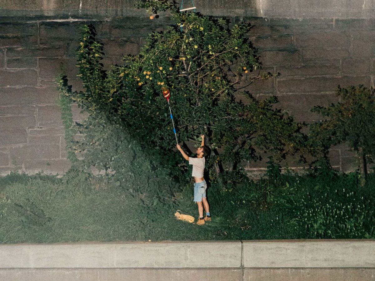 A Search for Apples in the Big Apple