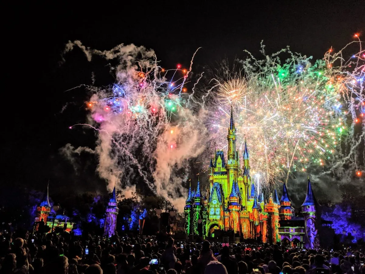 Disney Castle Fireworks