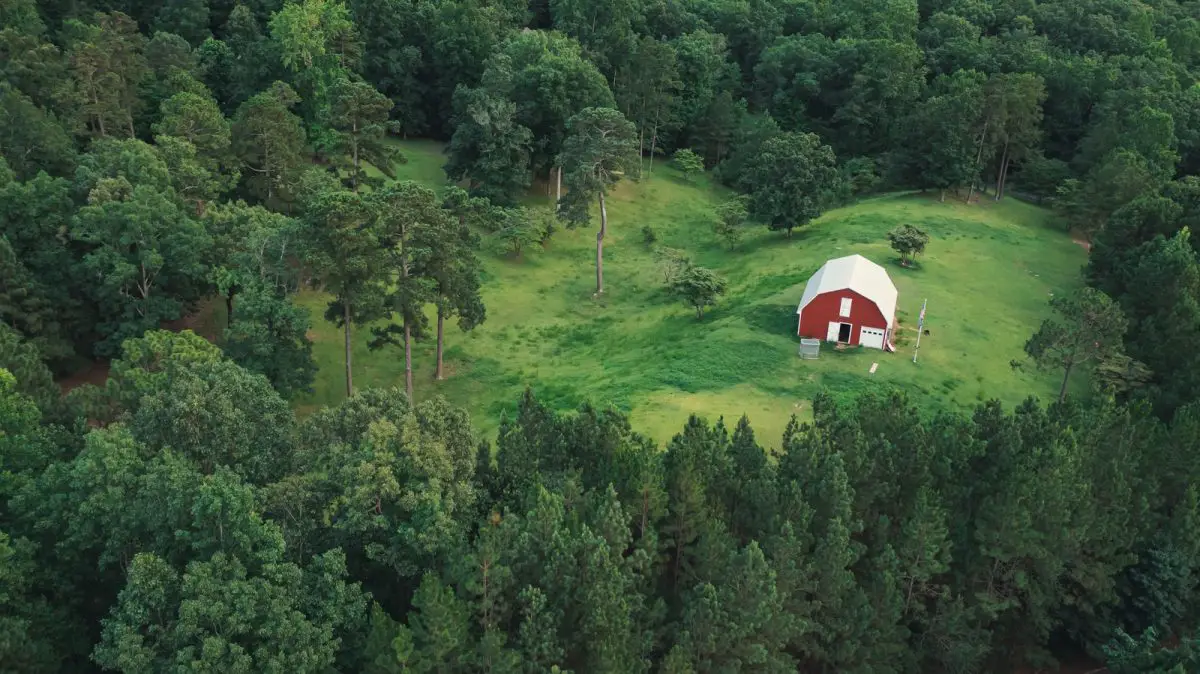 white dome tent on green grass field