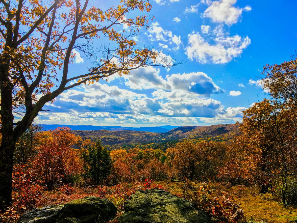 The High Road in the Berkshires: A Walking Trail Inspired By Pilgrimage Routes